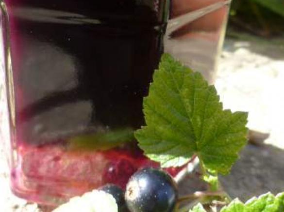 Schwarze Johannisbeere mit Ananas und Schuss