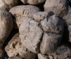 Rustikale Brötchen ~ hefefrei, glutenfrei, milchfrei, eifrei