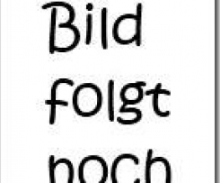 Panna Cotta mit Lavendel