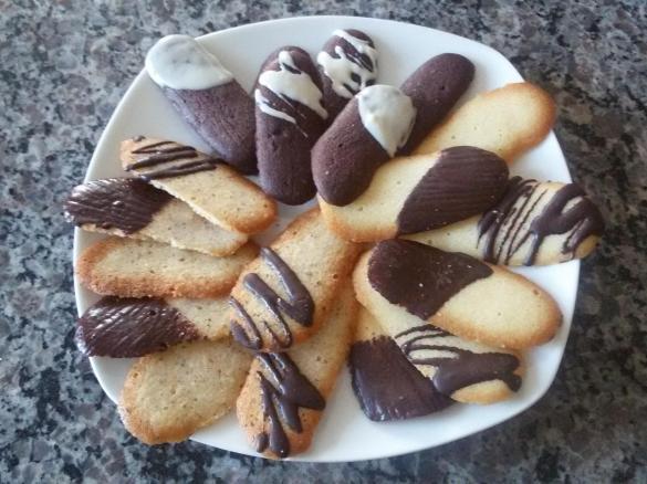 Katzenzungen Eiweißverwertung