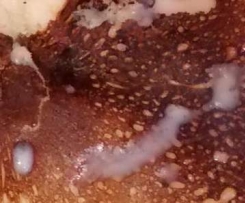 Eierkuchen  