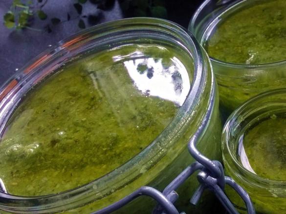 Basilikum - Kokos - Pistazien - Pesto