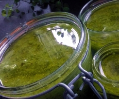 Basilikum - Kokos - Pistazien - Pesto