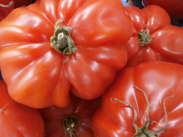  Tomatenmarmelade -mit schneller VARIANTE