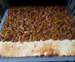 Pflaumenkuchen auf Quark-Öl-Teig (saftig noch nach Tagen)