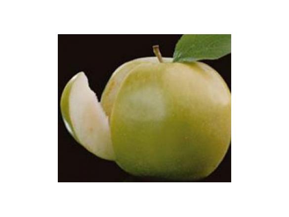 Apfel-Kiwi-Konfitüre