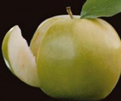 Apfel-Kiwi-Konfitüre