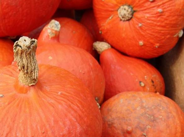 Variation von Kürbissuppe mit Karotten und Kartoffeln