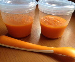 Kürbisbrei (auf Vorrat)