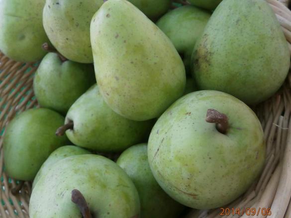 BIRNENMARMELADE  schnell und lecker fruchtig  mit 4 Variationen