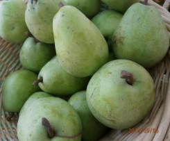 BIRNENMARMELADE  schnell und lecker fruchtig  mit 4 Variationen