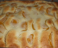 Der schnelle Schmandkuchen von Thermifee