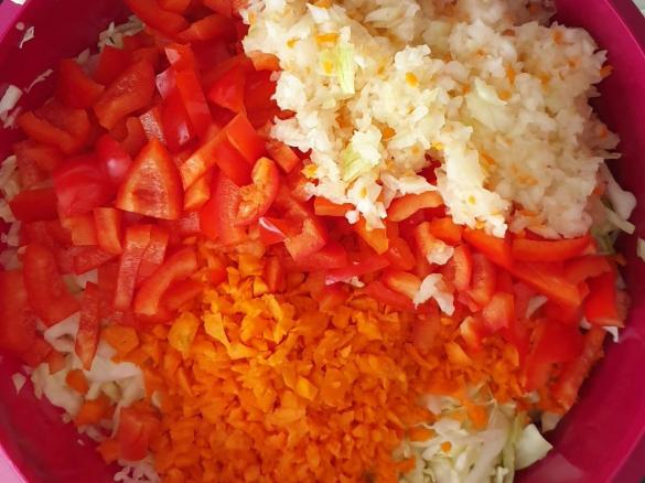 Rohkostsalat nach Mama Art