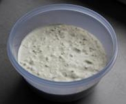 Zaziki- schnell und immer alles im Haus