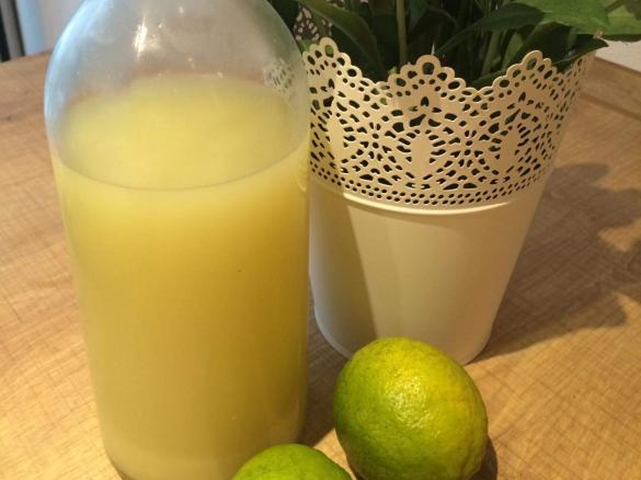 Limetten-Ingwer-Sirup max. 2 kcal je 100ml