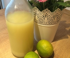 Limetten-Ingwer-Sirup max. 2 kcal je 100ml
