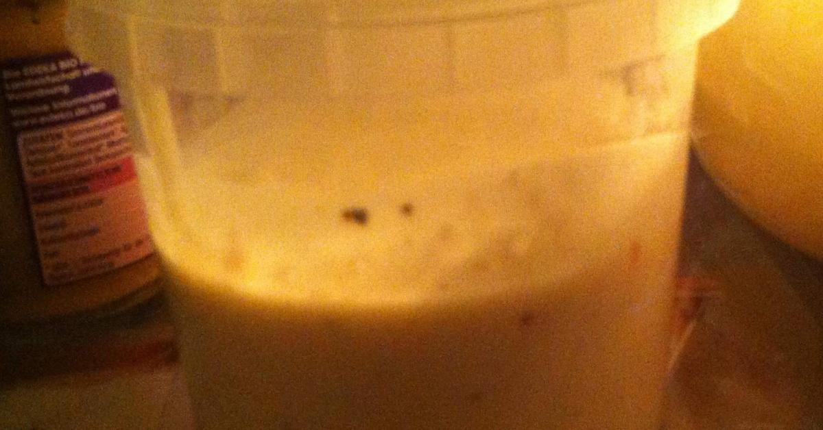 Salatsoße á la Brigucius von . Ein Thermomix® Rezept aus der Kategorie ... Salatsoße á la Brigucius von . Ein Thermomix® Rezept aus der Kategorie ...