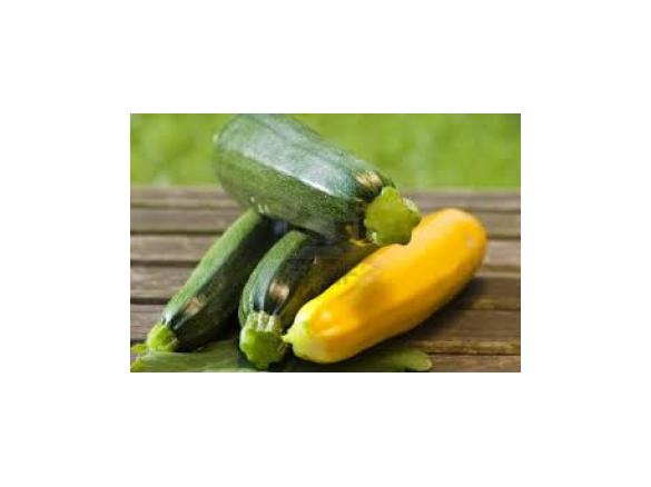 Französische Zucchini-Rohkost Rezept des Tages 26.08.15