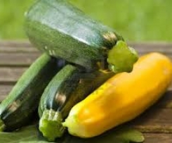 Französische Zucchini-Rohkost Rezept des Tages 26.08.15