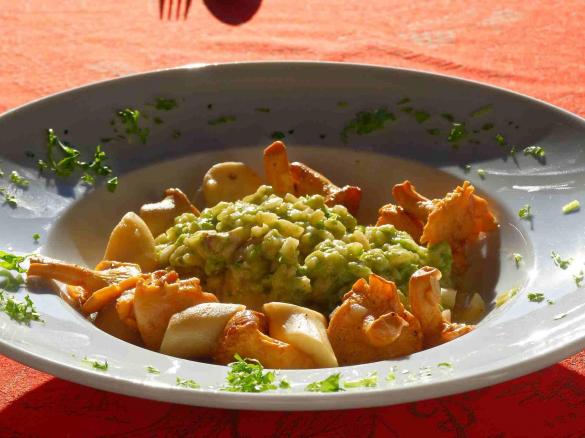 Pilz-Risotto mit Petersilienpesto
