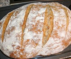 Brote nach der RUMFORT-METHODE, süß oder herzhaft - RdT am 13.11.13