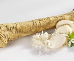 Variation Meerrettich