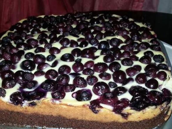 Schokokuchen mit Heidelbeer-Quark-Guss