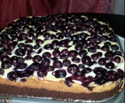 Schokokuchen mit Heidelbeer-Quark-Guss