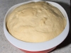 Weltbester Pizzateig