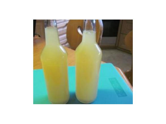 Apfel-Orangensaft mit Ingwer