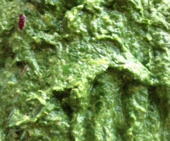Spinat Pesto