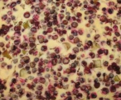 Rhabarberkuchen mit Walderdbeeren vom Blech