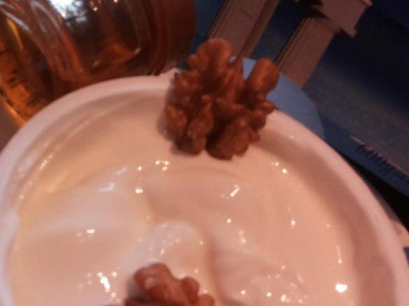 Joghurt griechische Art für TM 5 