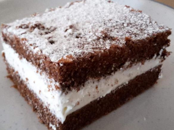 Schokoschnitte mit -JoghurtSahne Füllung   Blechkuchen