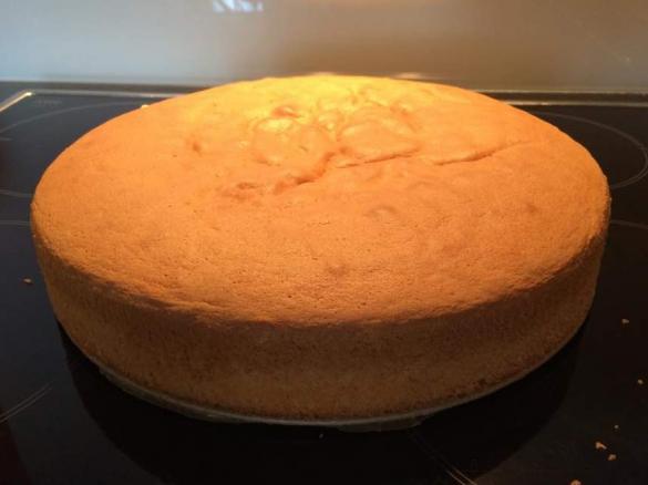 Biskuitboden - Tortenboden - schön hoch und einfach zu machen