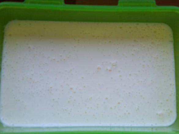 Knoblauchsauce ein Muss zum Grillen