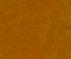 Möhrensuppe, indisch