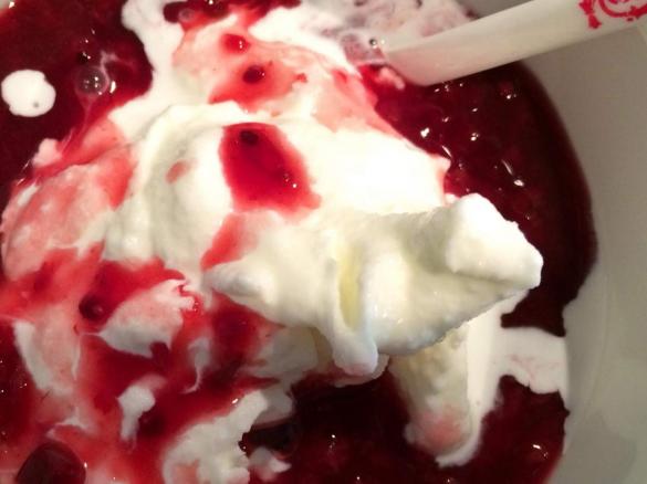 Frozen Yoghurt (WW/SM geeignet)