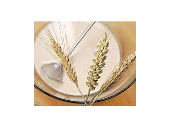 Sauerteig umzüchten (Roggen -> Weizen/Dinkel)