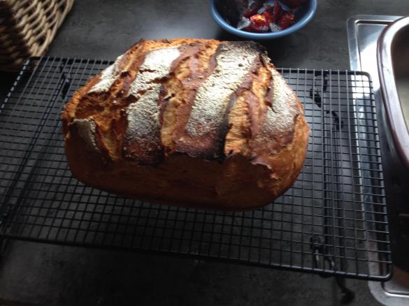 Dinkel Roggen Kruste