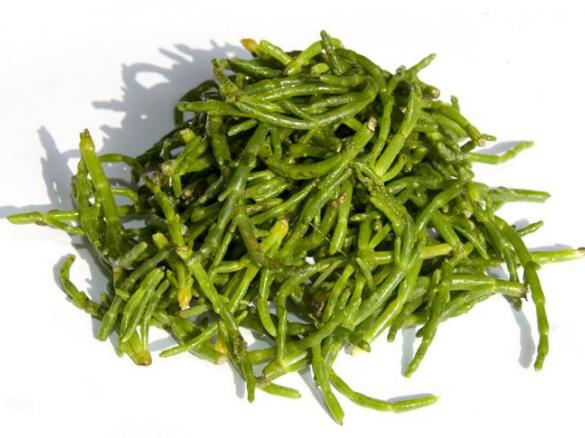 Kartoffelsalat mit Queller (Zeekral) und Thunfisch