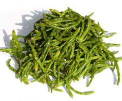 Kartoffelsalat mit Queller (Zeekral) und Thunfisch