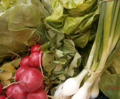 OBATZTER FRÜHLINGSFRISCH