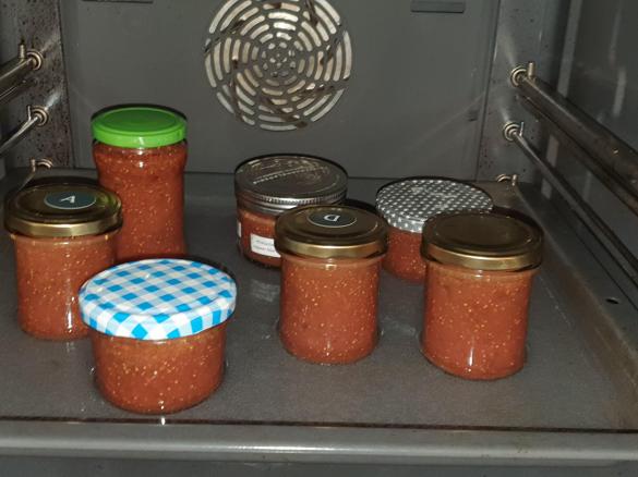 Feigen-Senf-Träumchen