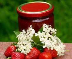 Variation von Erdbeere - Hugo - Marmelade