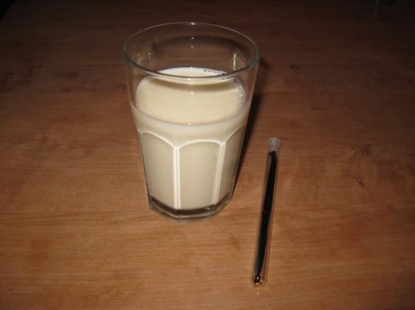 Vanillemilch 