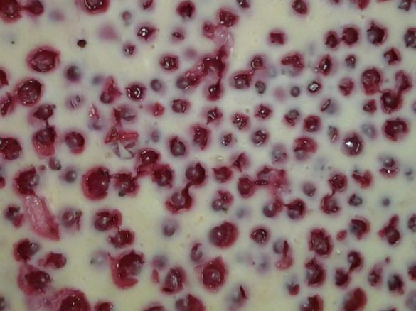 Johannisbeer-Quark-Kuchen