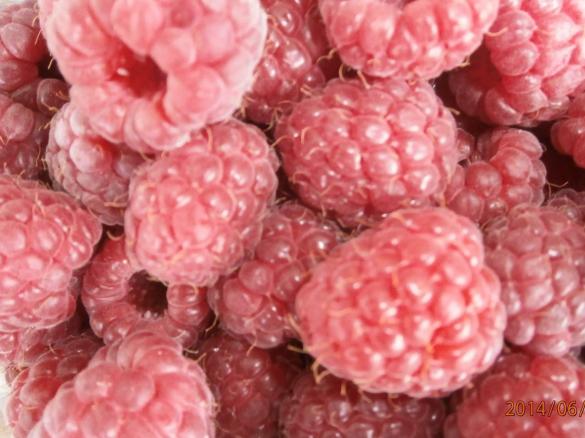 HIMBEEREN   ROSEN      Marmelade