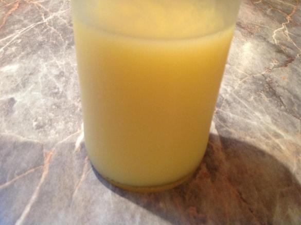 Ingwer Zitronen Sirup fructosearm