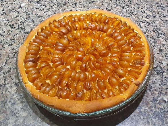 Mirabellen oder Pflaumen  Hefe-Kuchen